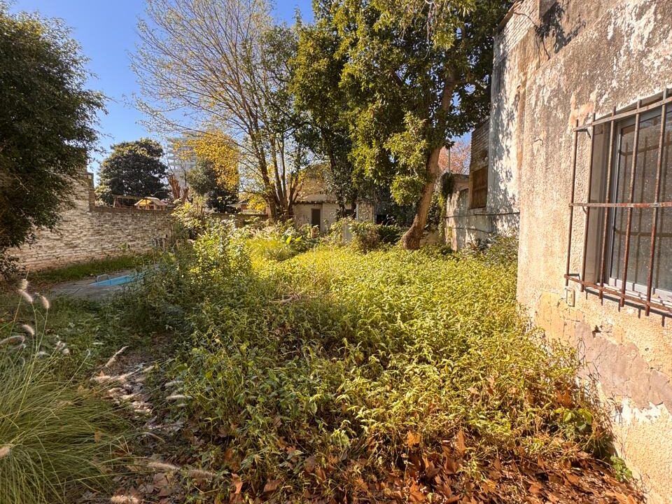 WhatsApp Image 2025-06-23 at 10.47.49 AM