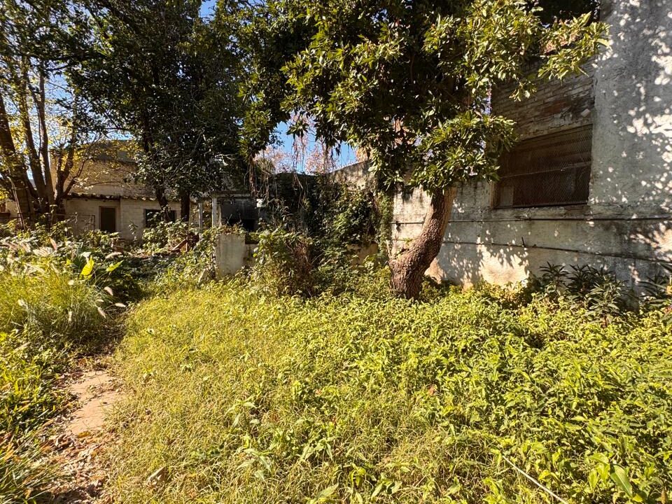 WhatsApp Image 2025-06-23 at 10.48.21 AM