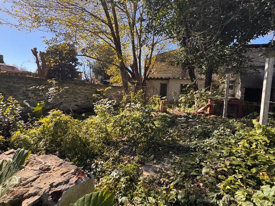 WhatsApp Image 2025-06-23 at 10.48.23 AM