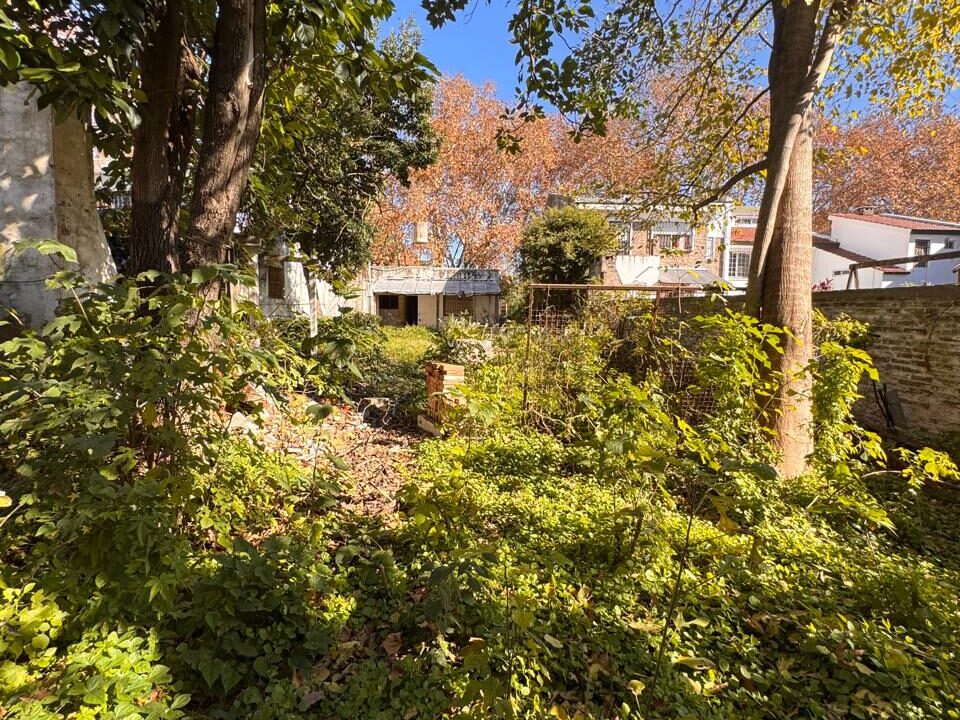 WhatsApp Image 2025-06-23 at 10.48.24 AM