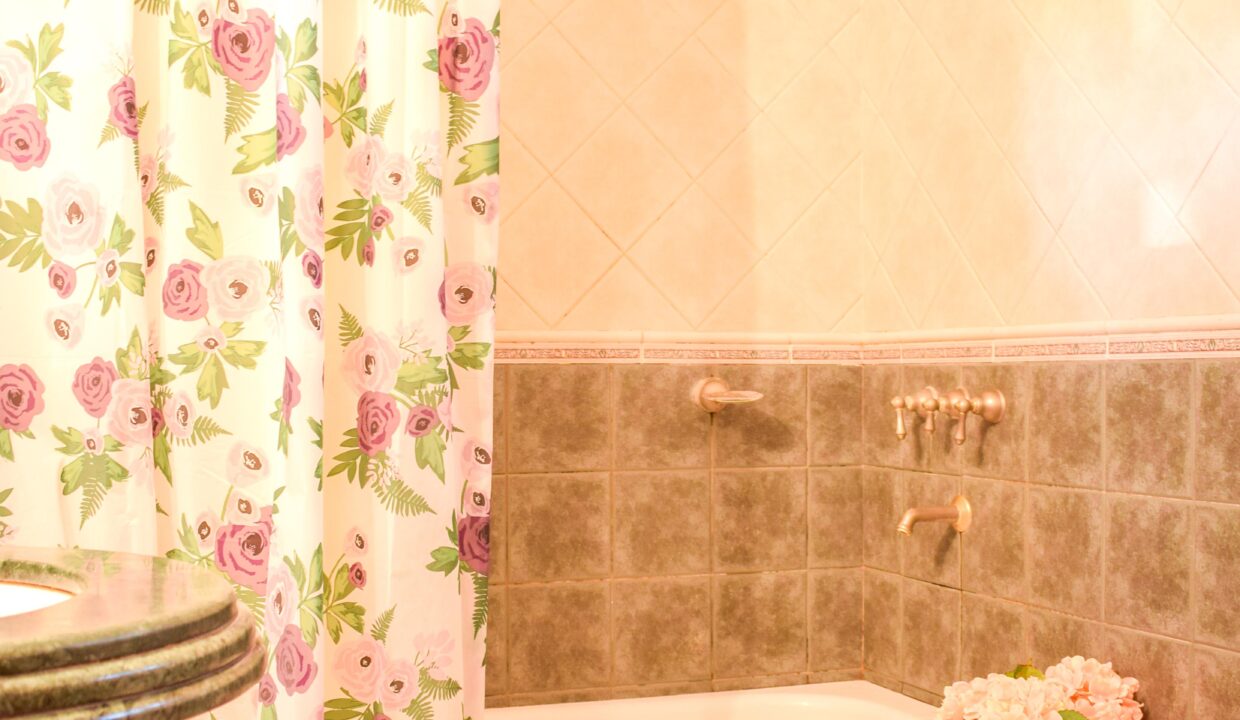 Foto-3