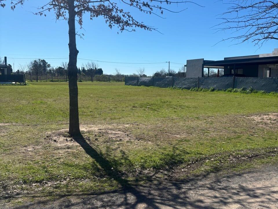 WhatsApp Image 2025-09-17 at 11.34.40 AM (2)