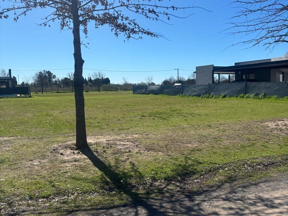 WhatsApp Image 2025-09-17 at 11.34.40 AM (3)