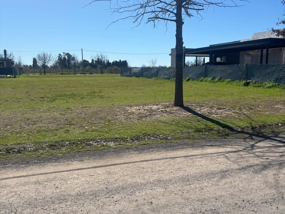 WhatsApp Image 2025-09-17 at 11.34.41 AM (1)