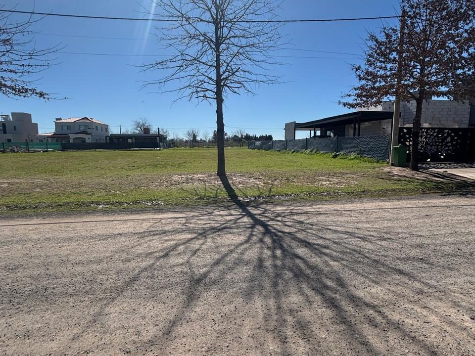 WhatsApp Image 2025-09-17 at 11.34.41 AM (2)