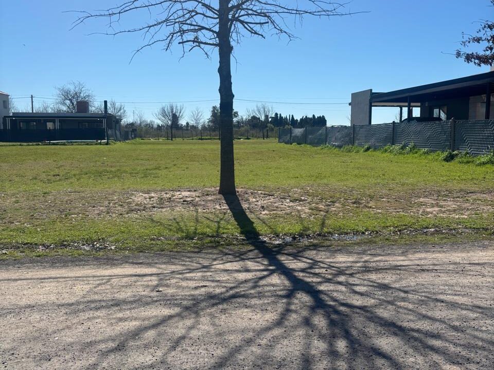 WhatsApp Image 2025-09-17 at 11.34.41 AM (3)