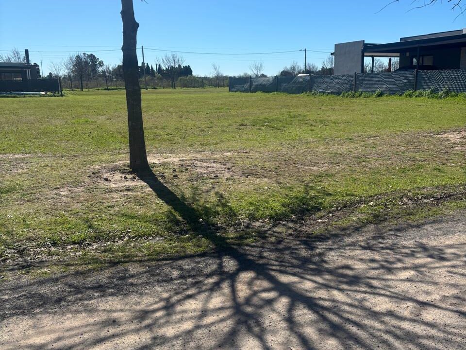 WhatsApp Image 2025-09-17 at 11.34.41 AM