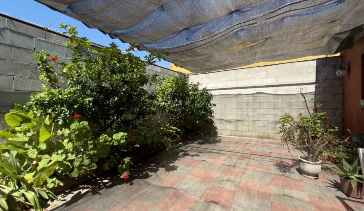 WhatsApp Image 2025-12-29 at 2.35.57 PM (1)