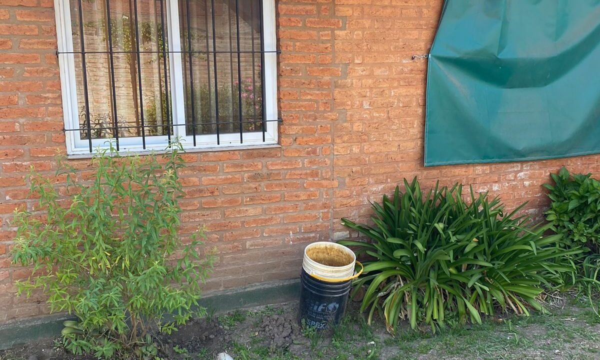 WhatsApp Image 2022-10-14 at 10.37.53 AM