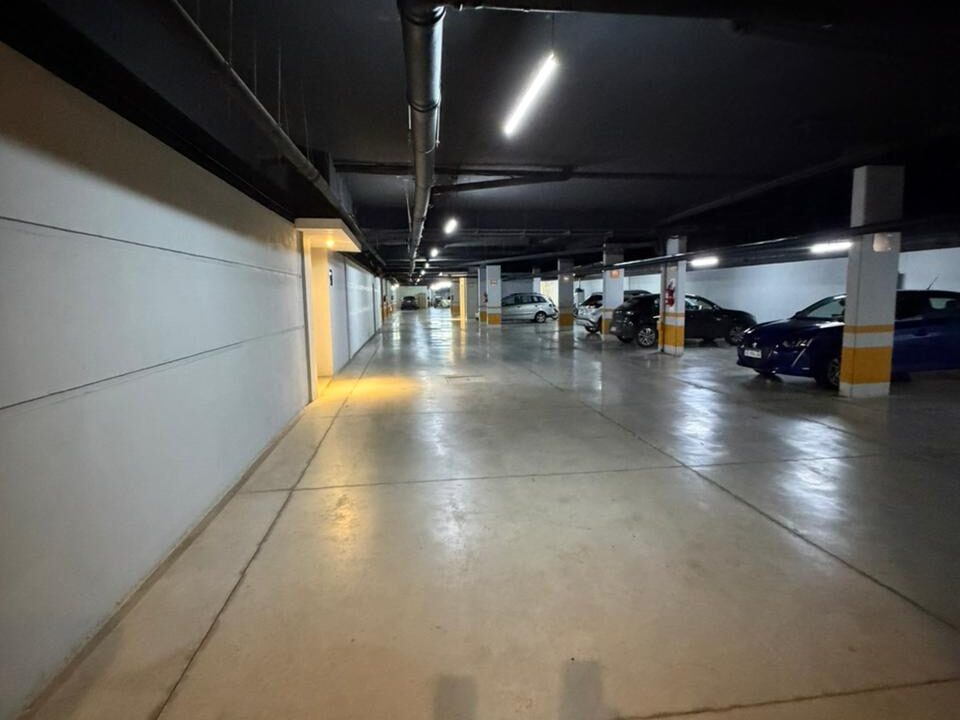 WhatsApp Image 2026-04-20 at 10.52.51 AM (1) - copia